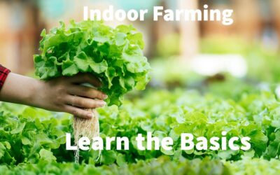 What Is Indoor Farming?