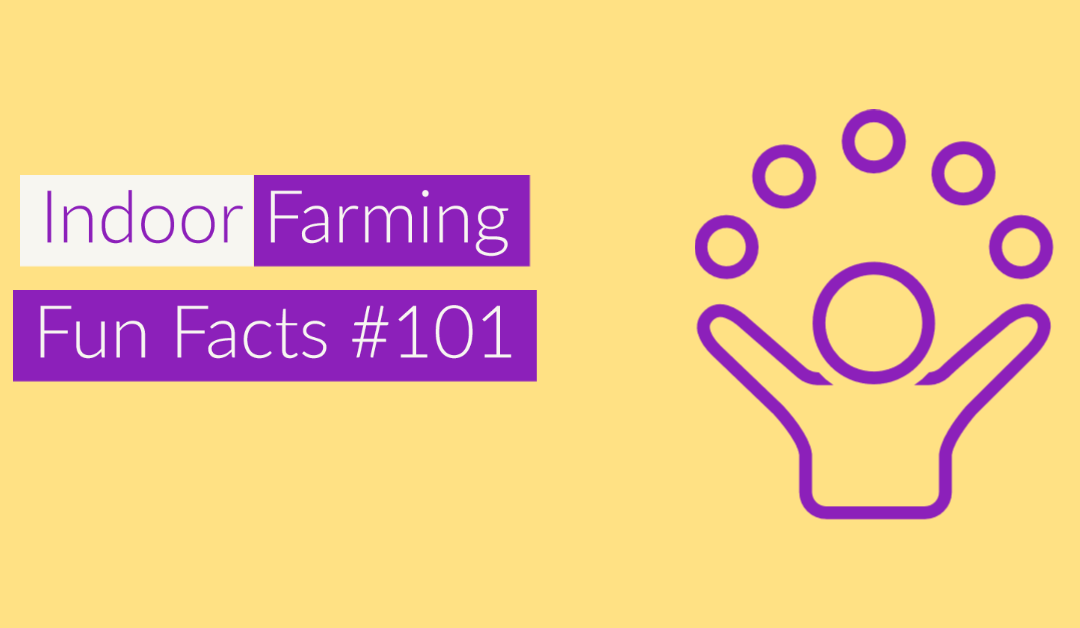 Indoor Farm Success Factors