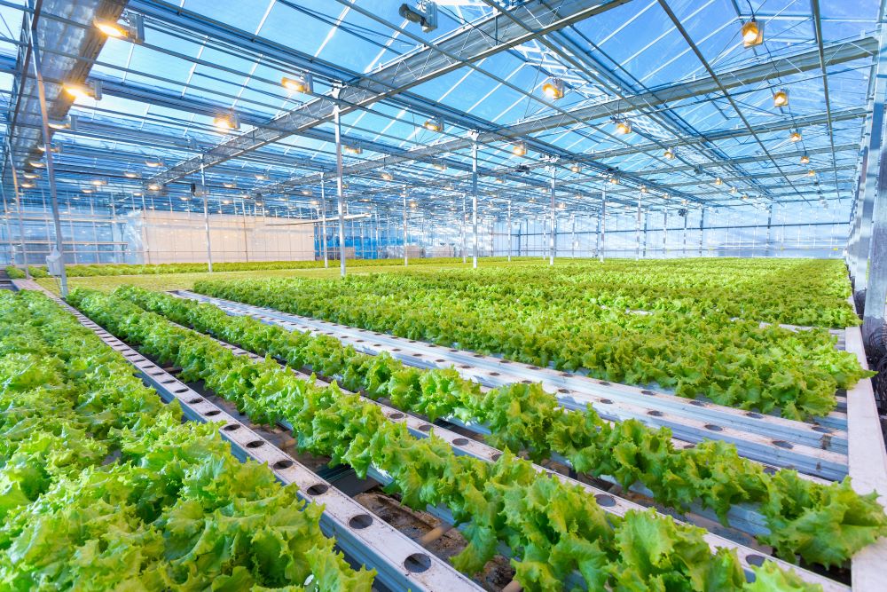 Summary of an article on indoor farming by Melissa Shipman, highlighting the importance of unit economics and efficiency.