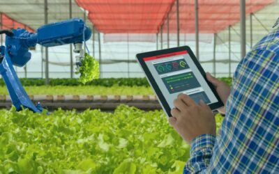 Digitization of Hydroponic Vertical Farms & Greenhouses